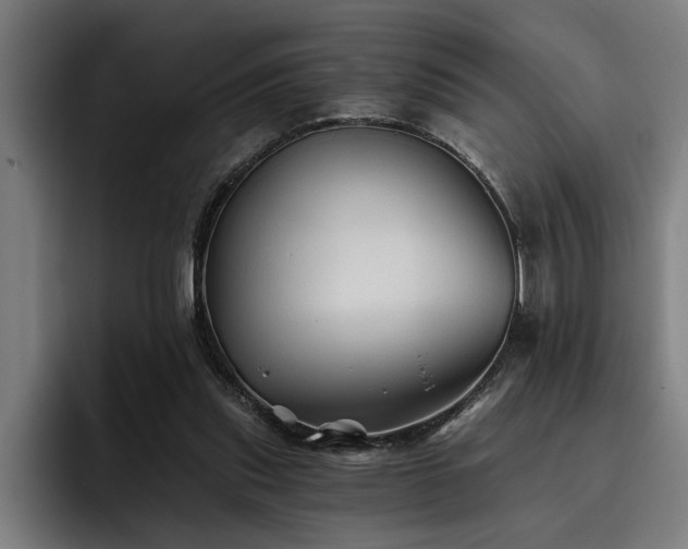 X0000093500253200710121518