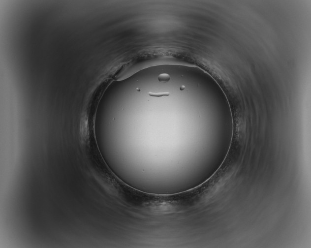 X0000093500254200710121518