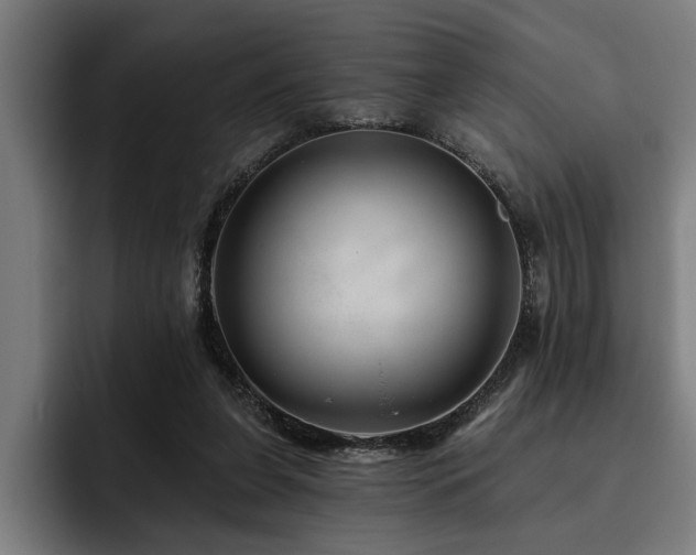 X0000093500255200710121518
