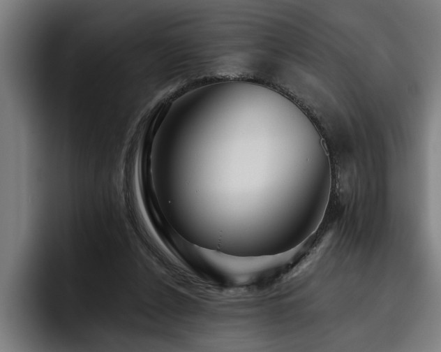 X0000093500256200710121518
