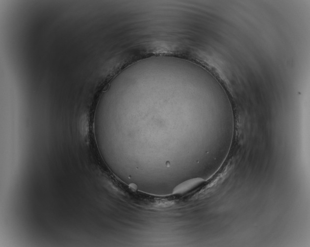 X0000093500257200710121518