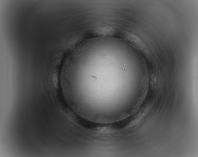 X0000093500259200710121518