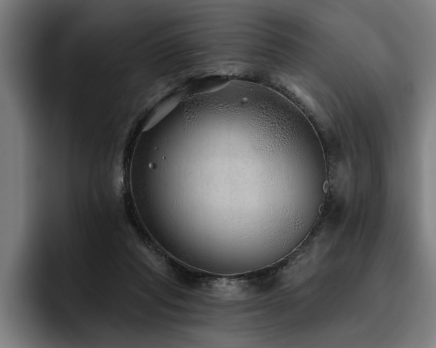 X0000093500261200710121518