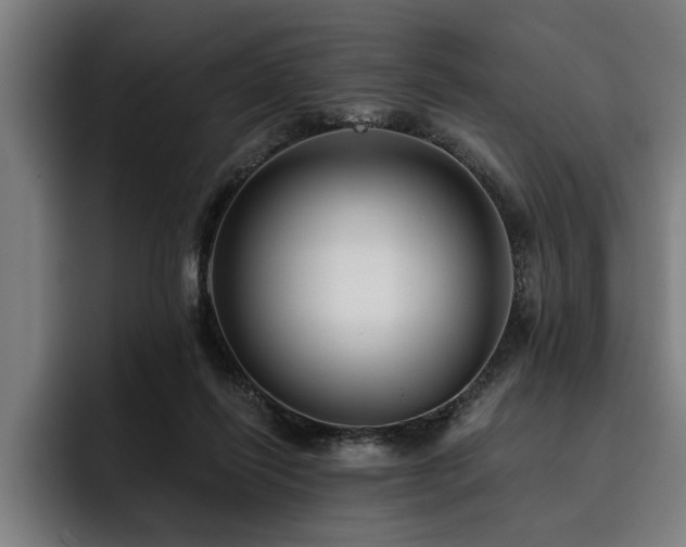 X0000093500262200710121518