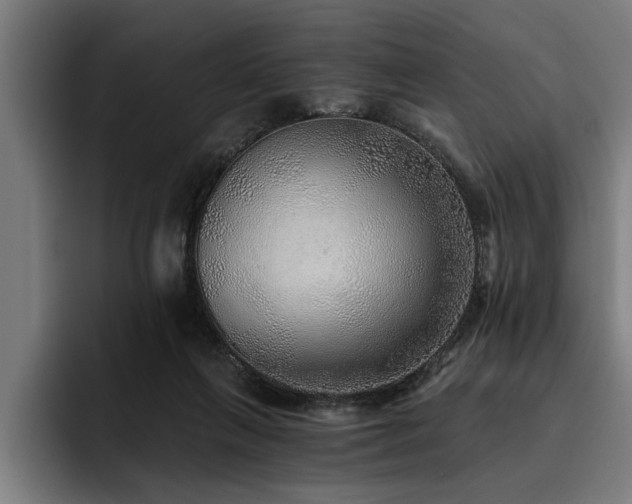 X0000093500263200710121518