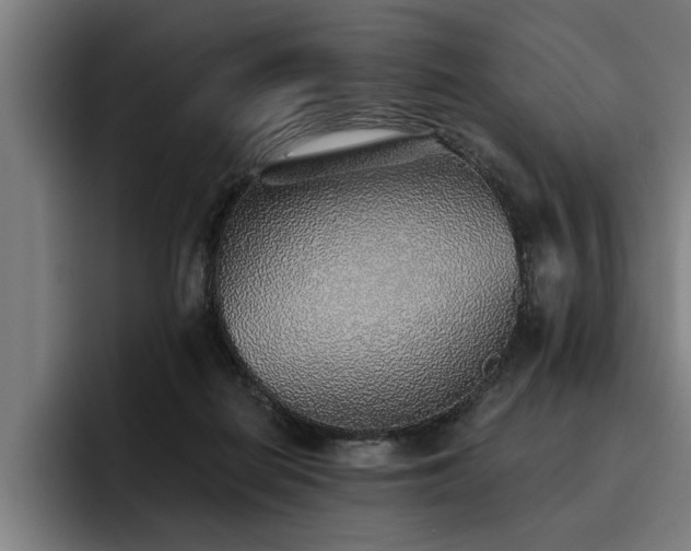 X0000093500266200710121518