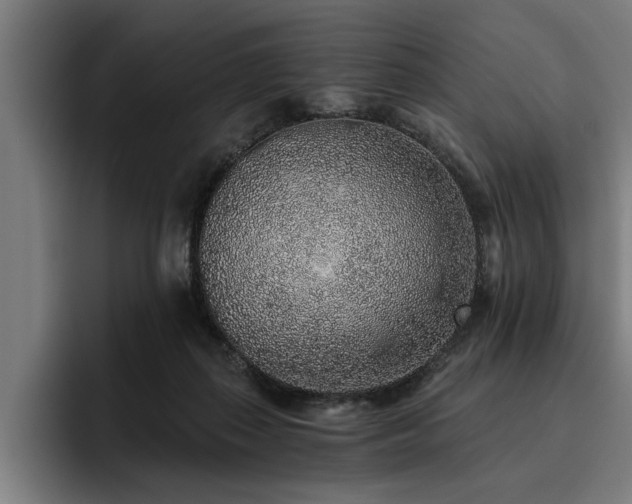X0000093500267200710121518