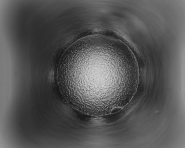 X0000093500269200710121518