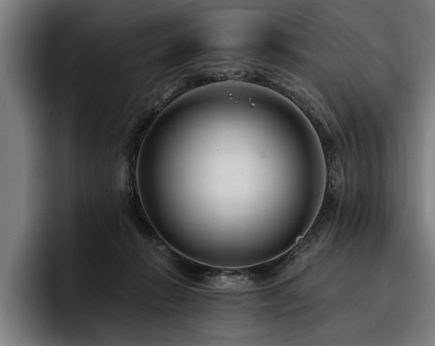 X0000093500270200710121518
