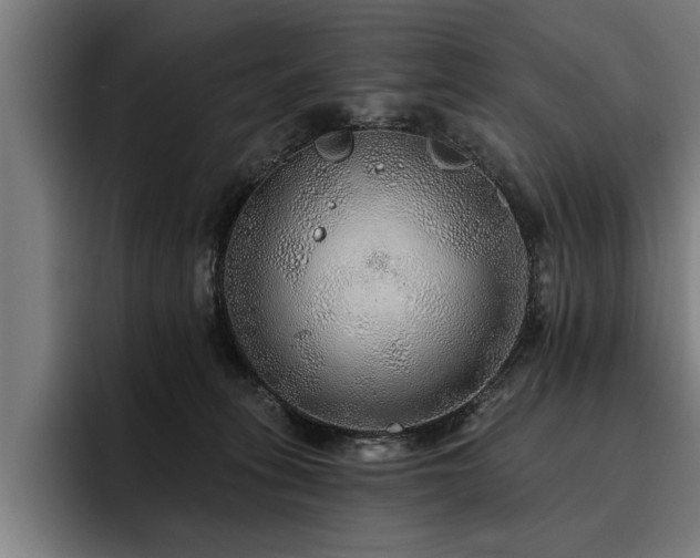 X0000093500275200710121518