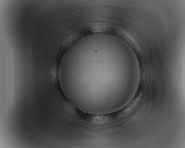 X0000093500277200710121518
