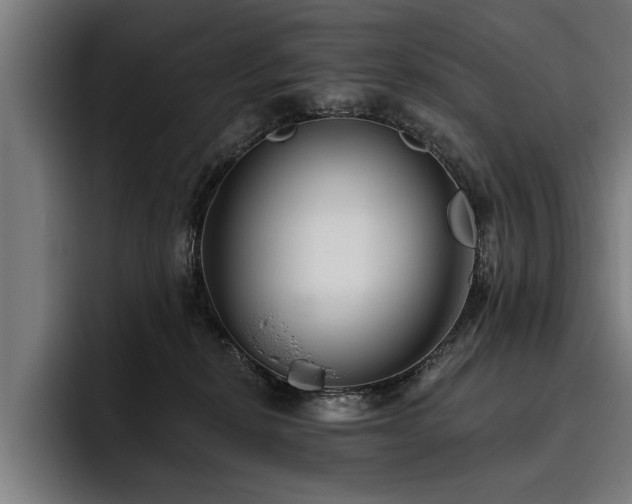 X0000093500278200710121519