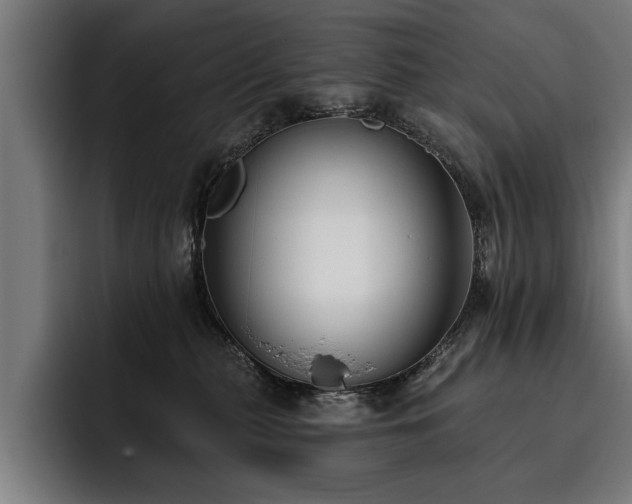 X0000093500279200710121519