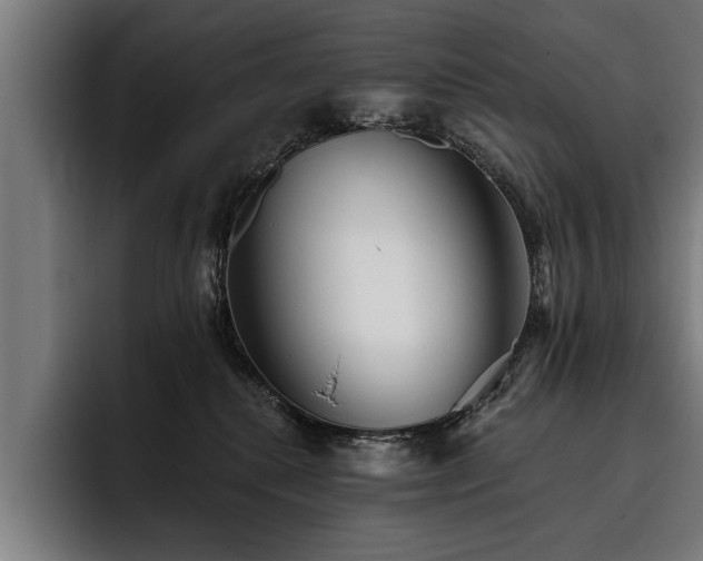 X0000093500280200710121519
