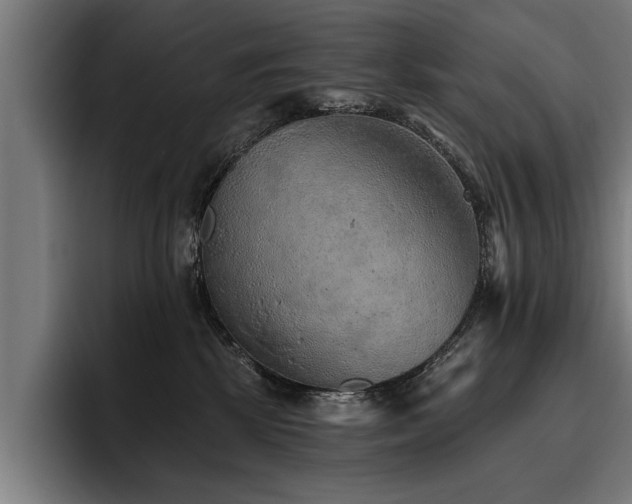 X0000093500281200710121519