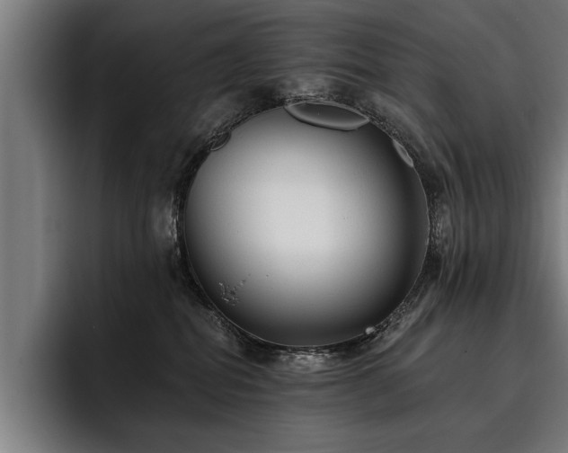 X0000093500282200710121519