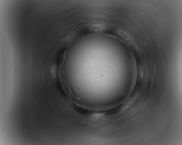 X0000093500283200710121519