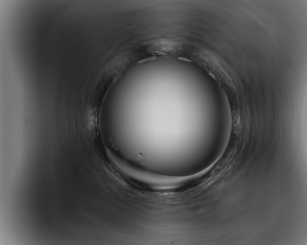 X0000093500284200710121519