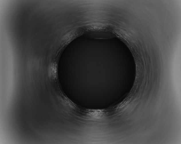 X0000093500288200710121519