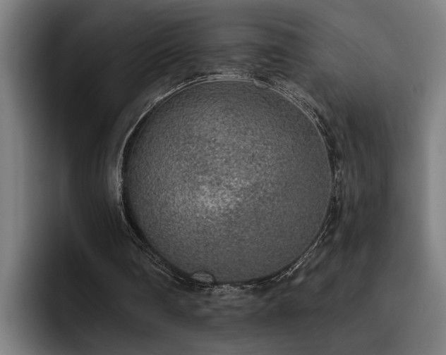 X0000093500290200710121518