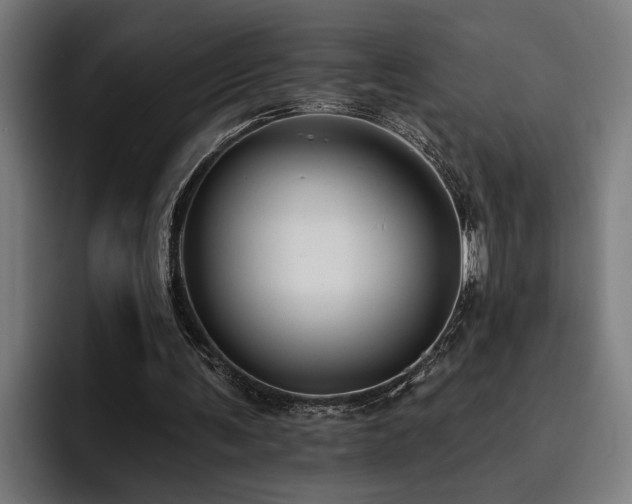 X0000093500291200710121518