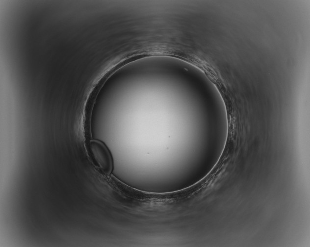 X0000093500292200710121518