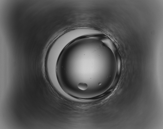 X0000093500293200710121518