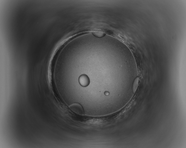 X0000093500294200710121518