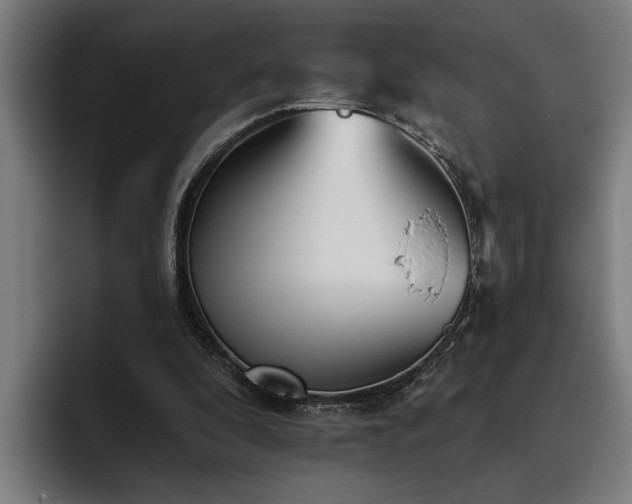 X0000093500296200710121518