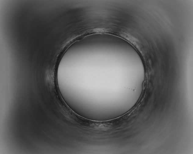 X0000093500297200710121518