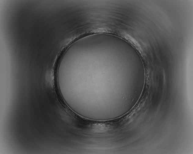 X0000093500298200710121518