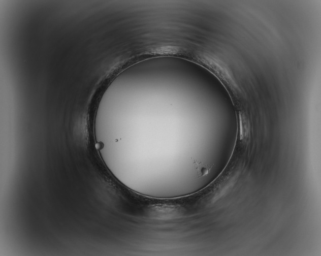 X0000093500300200710121518