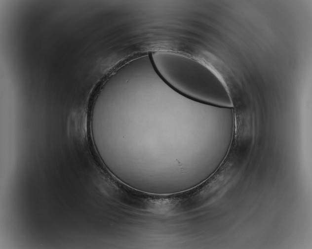 X0000093500301200710121518