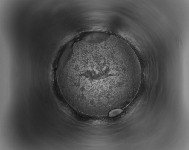 X0000093500303200710121518