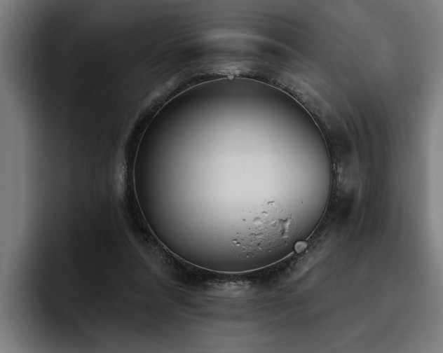 X0000093500304200710121518