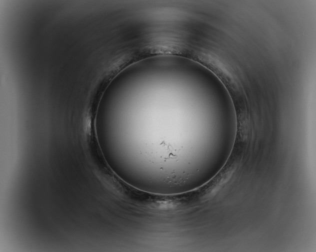 X0000093500310200710121518