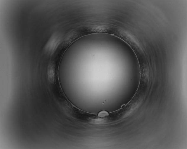 X0000093500312200710121518