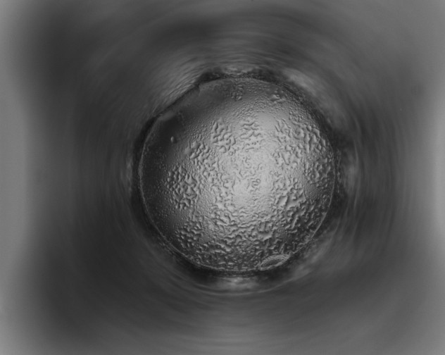 X0000093500319200710121518