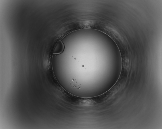 X0000093500324200710121518