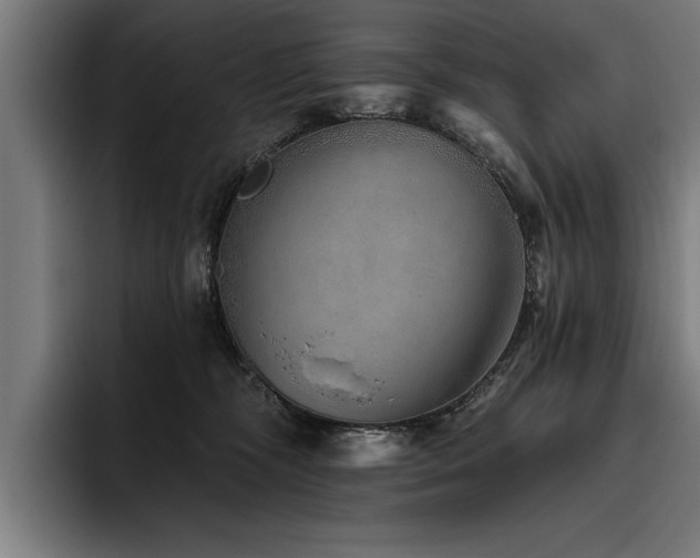 X0000093500326200710121518