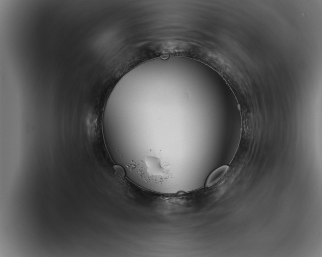 X0000093500327200710121518