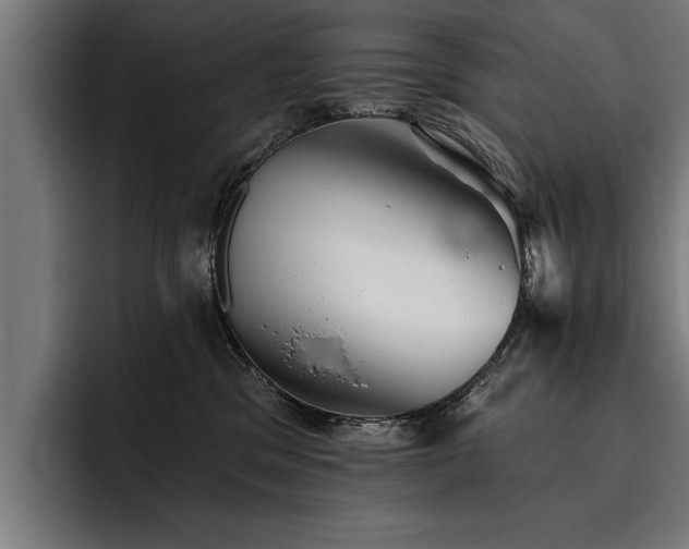 X0000093500329200710121518
