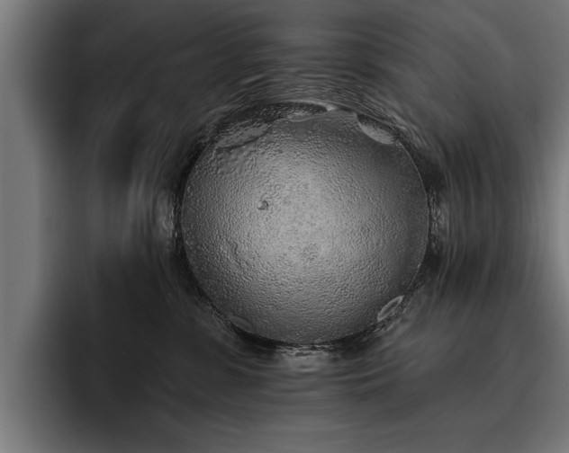 X0000093500331200710121518