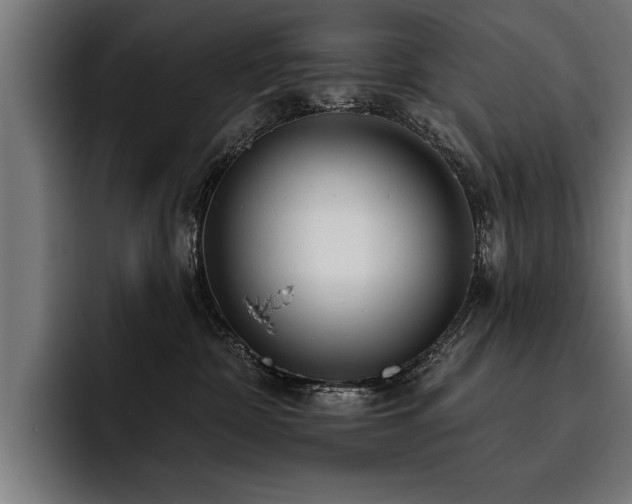 X0000093500332200710121518