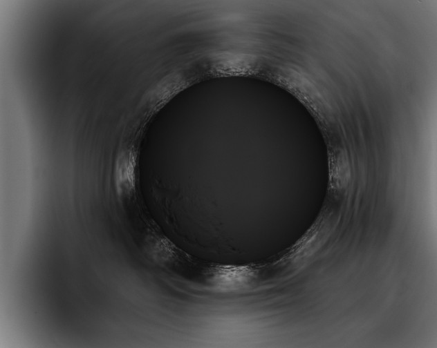 X0000093500334200710121518