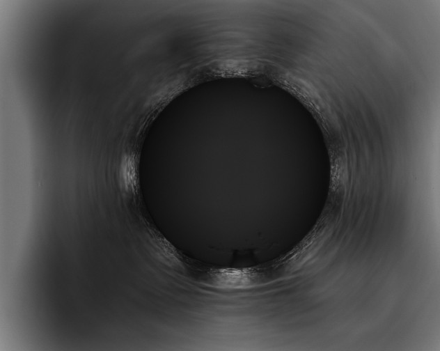 X0000093500335200710121518