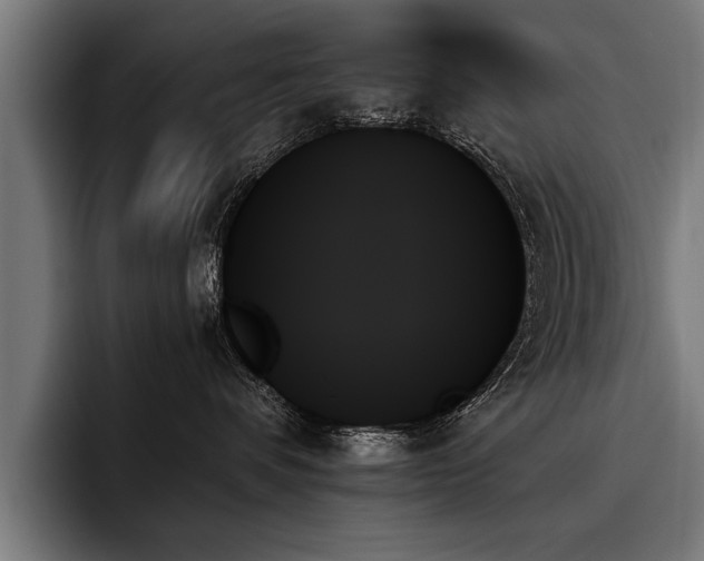 X0000093500336200710121518