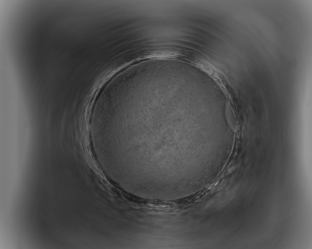 X0000093500337200710121517