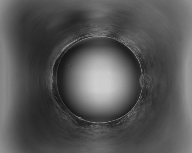 X0000093500338200710121517