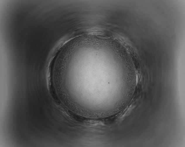 X0000093500339200710121517